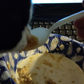 Rob Wolchek The Cat Eats Low Sugar Quaker Oats, Dbn, MI, 10/25/23