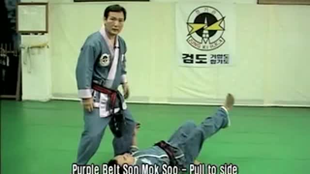 Authentic Hapkido (Jung Ki Kwan)
