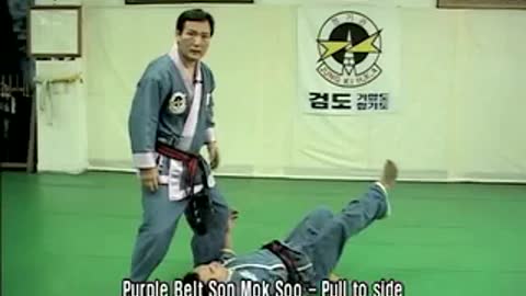 Authentic Hapkido (Jung Ki Kwan)