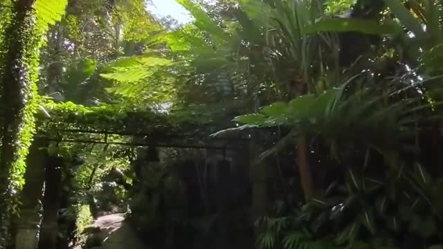 Perfect ambience to make mind at ease and keeping it away from distractions.