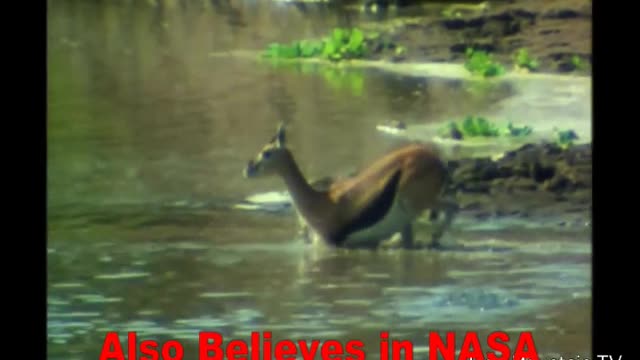 “Follow the Science”