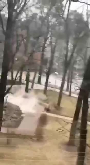 27.02.2022. Day three. The war continues, Russia - Ukraine!!!