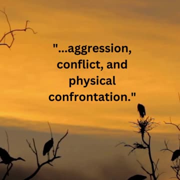 The Visionary Journey: Unraveling the Male Dream Mind!