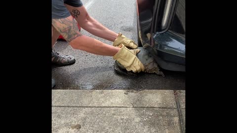 Man Rescues Snapping Turtle Stuck Beneath Car Bumper