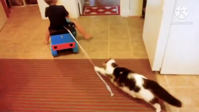 Baby playing with cute cat