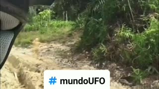 Real ou Fake? 🤔😱👽