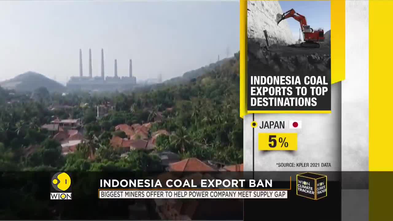 Indonesia banned coal export to meet its own power demands| WION Climate Tracker|Latest english News