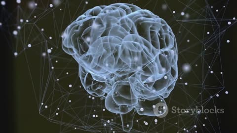Harnessing the Power of Mind: The Law of Attraction