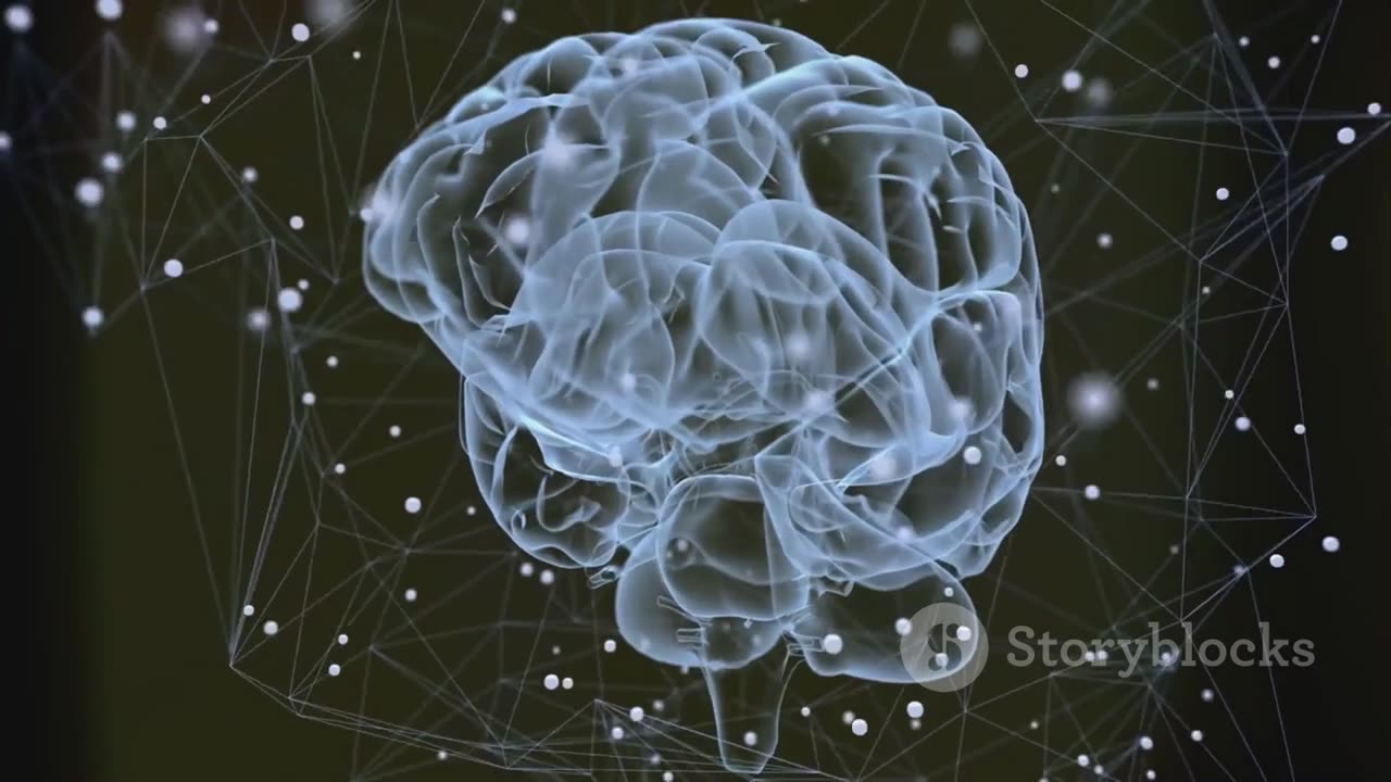 Harnessing the Power of Mind: The Law of Attraction