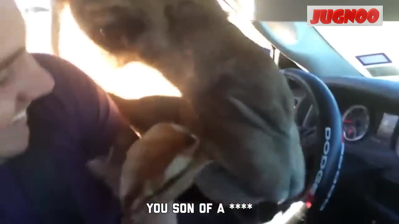 Must Watch : Funny Fails