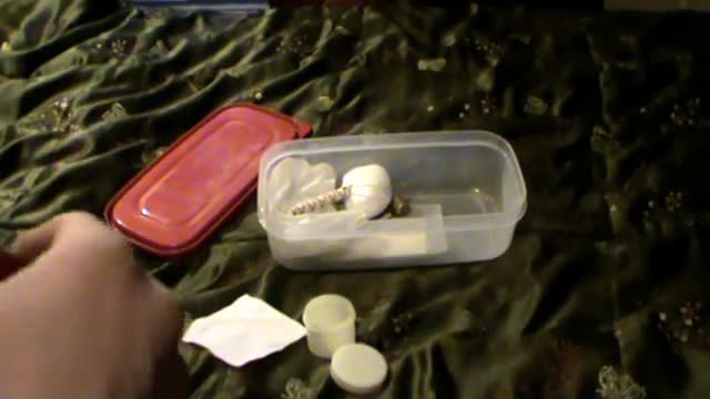 Sword cleaning kit tips