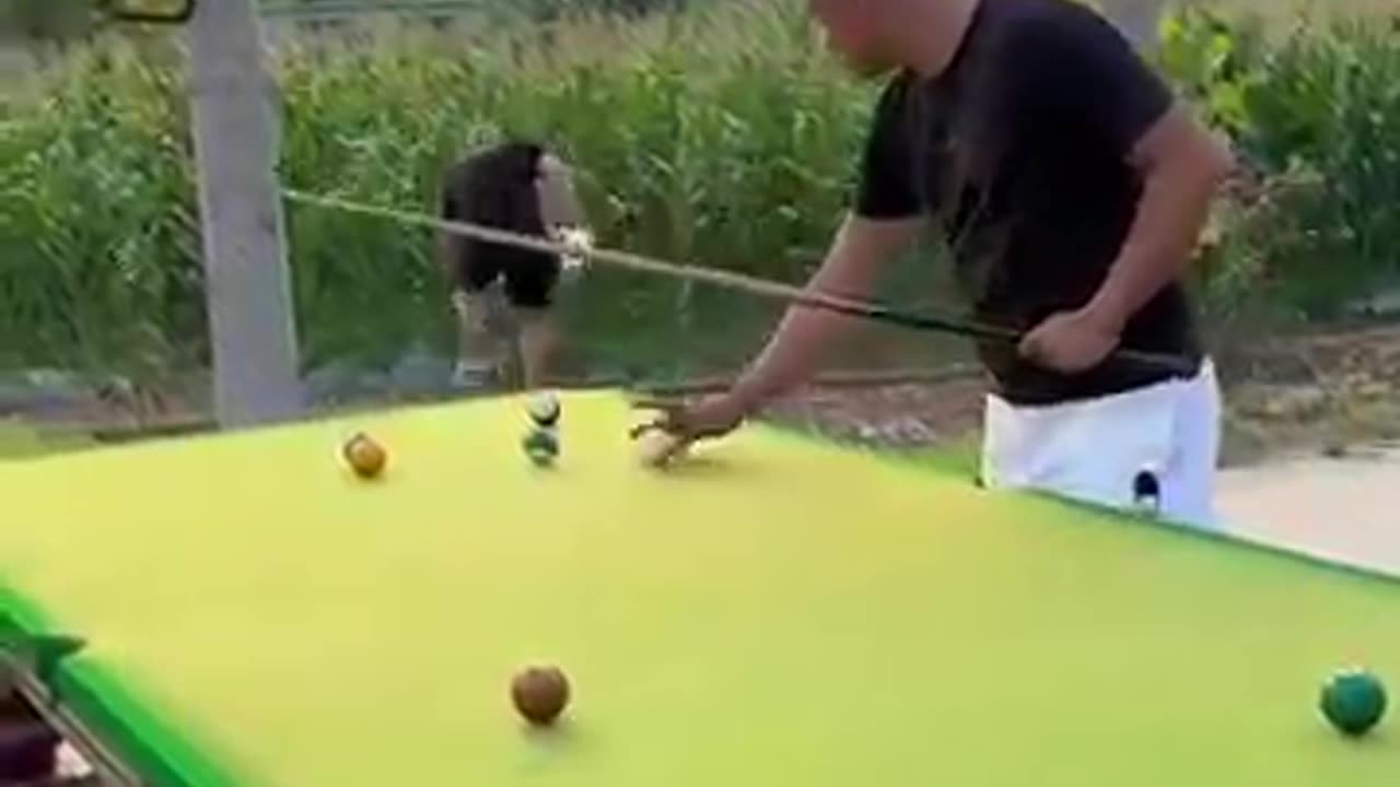 Funny video Billiards million views / P337