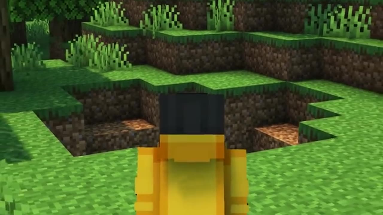 Minecraft When you DON'T fill the Creeper Holes...