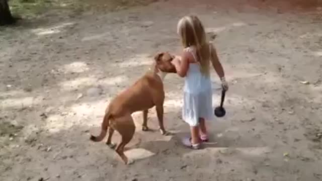 Little Girl Is Pitbull Dogs Boss 88 {BE FREE}