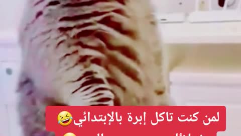 أحلى شيء صرخة ارين كانها ضحكة 😂😂 أنا الوحيدة الي ما اخاف من الابرة 🙂☕✨