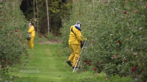 Canada’s food supply chain under strain