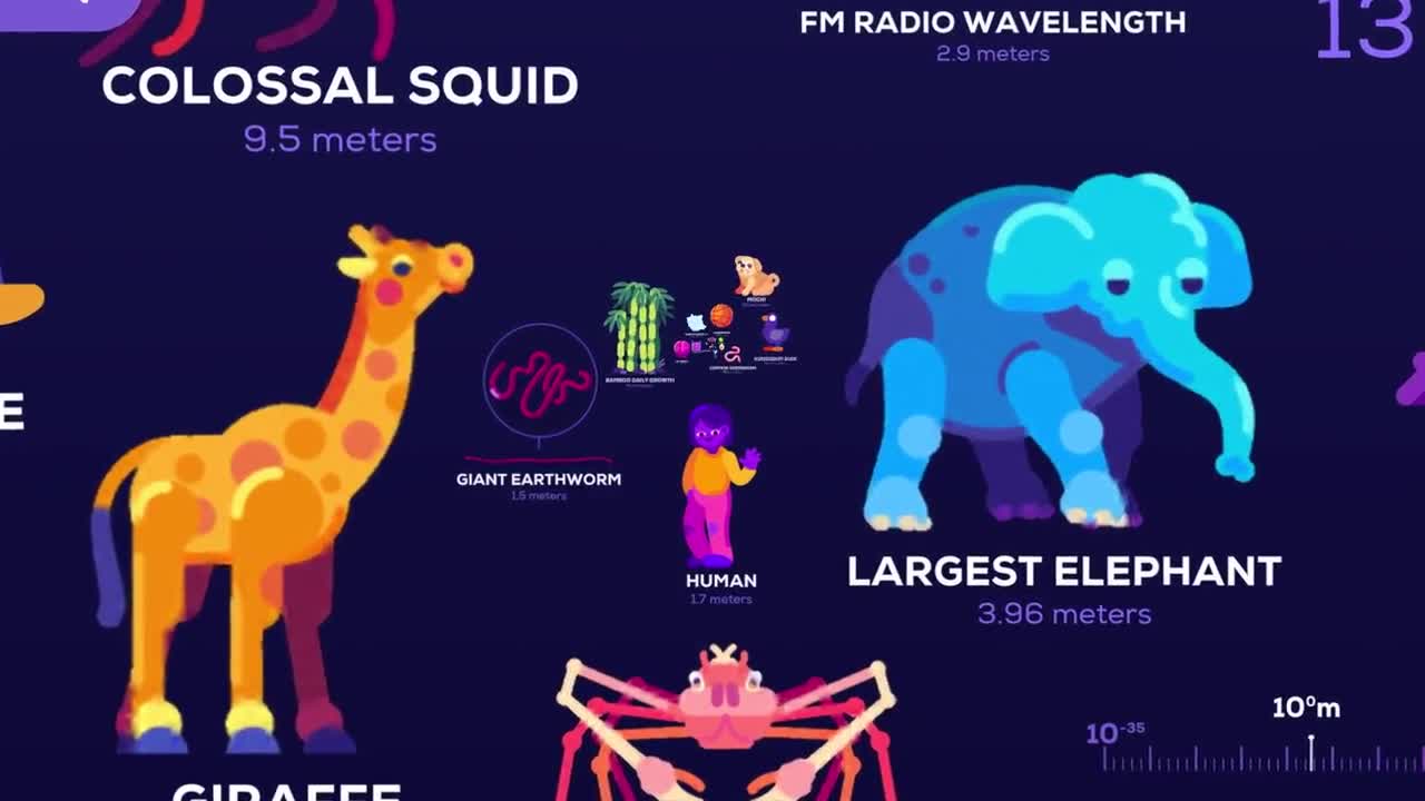 Universe Size Comparison