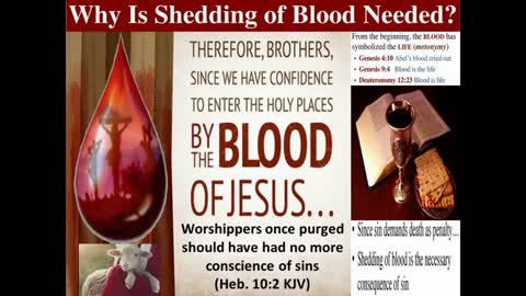 Worshippers conscience could no more disquiet them, being purified of their sins