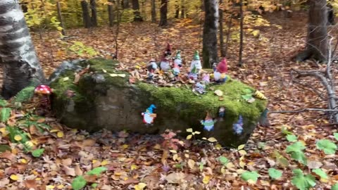 Gnome Mountain Rock 🏔️