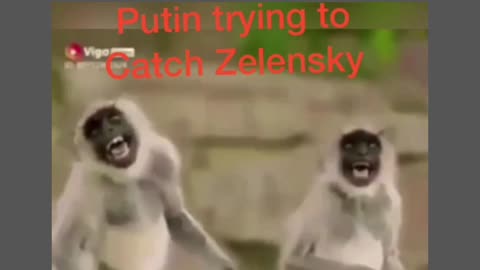 Putin v/s Zelensky