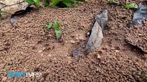 This is another one of my favorites