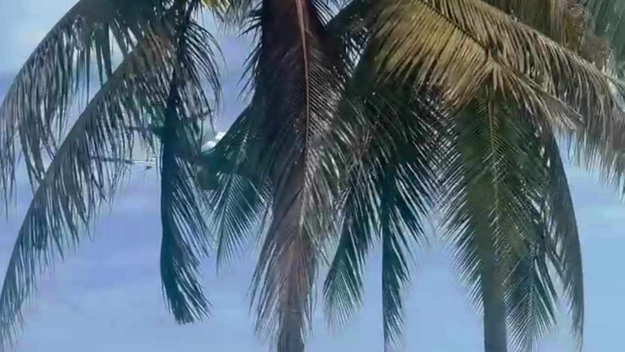 Airplane landing in Sri Lanka