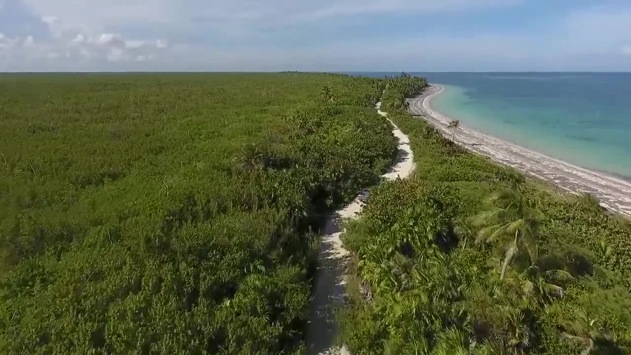 Sea waves & beach drone video | Free HD Video