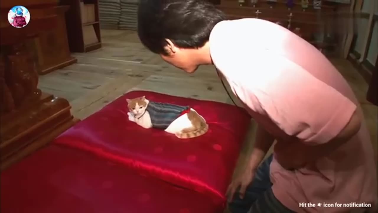 Real top rare god miracles in real life caught on camera part 1 ll