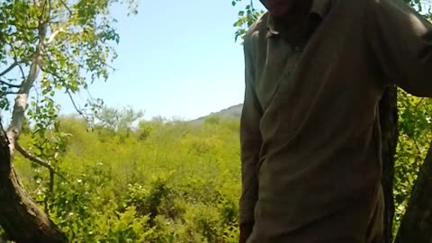 Funny video