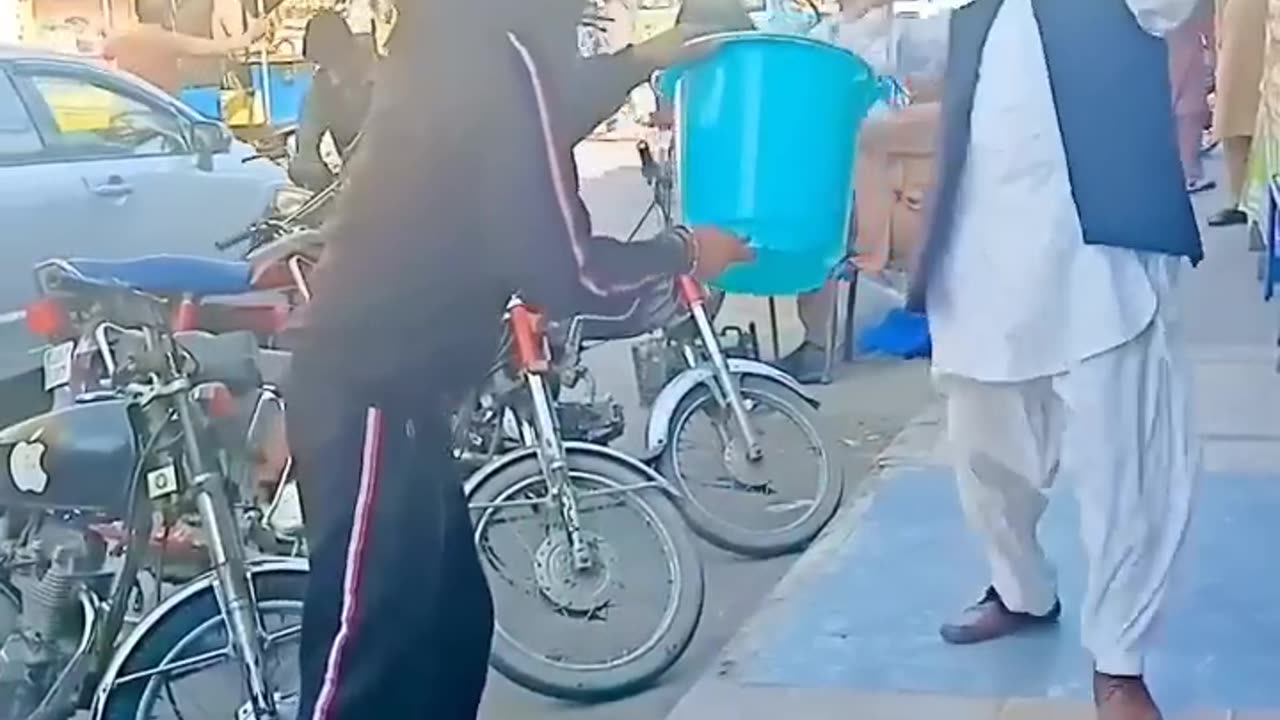 funny videos