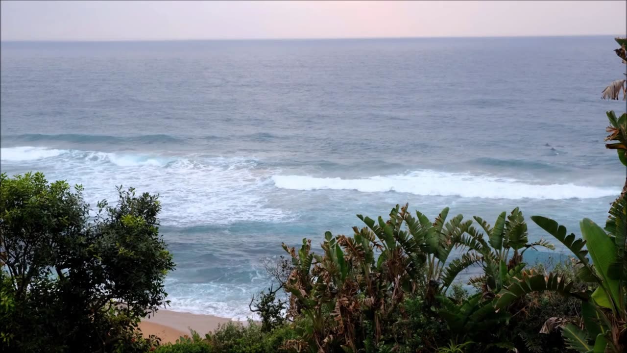 Ease the Mind: Relax with Music and Nature Videos