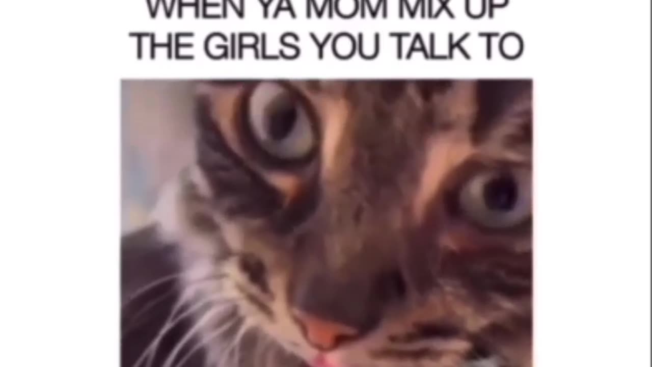 Mommy mix up😭🤣.