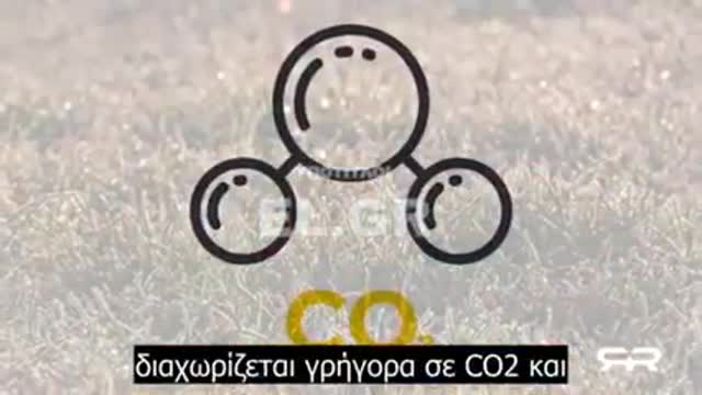 «Ιερές» αγελάδες και ο κίνδυνος κατανάλωσης εντόμων !