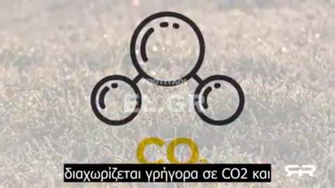 «Ιερές» αγελάδες και ο κίνδυνος κατανάλωσης εντόμων !