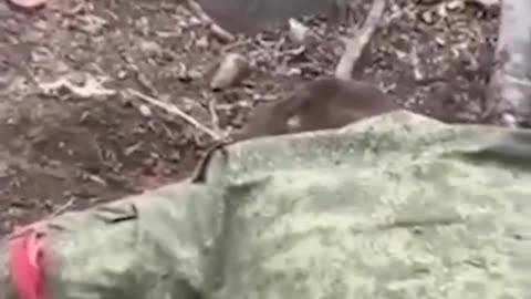 18+!!! - Ukraine Nazi Fascist Execute Russian Soldiers ☠️🇺🇦🏴‍☠️