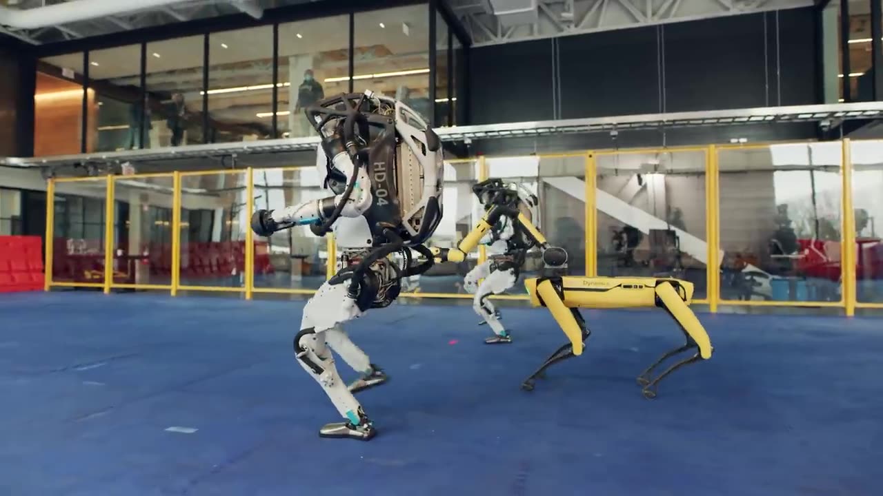 Do You Love Me? Beautiful Robotic Dance