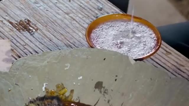 You shouldnt collect dishes when the guest is still here.