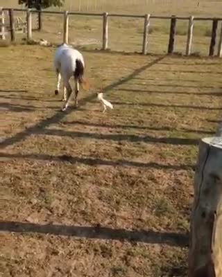 Rosters can be stubborn sometimes