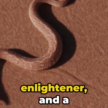 The Secret 13th Zodiac - AI Unveiling the Mystery