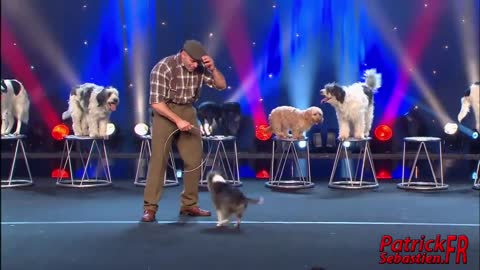 Wolfgang Lauenburger - Dressage de Chiens - Le Plus Grand Cabaret Du Monde