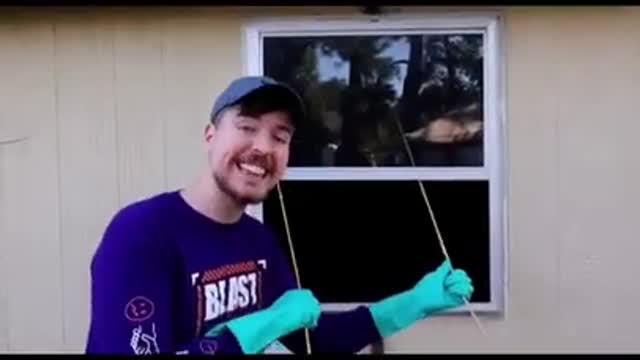 MR BEAST DOES SCIENCE