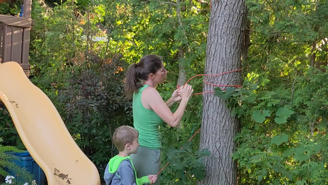 Oriole feeder