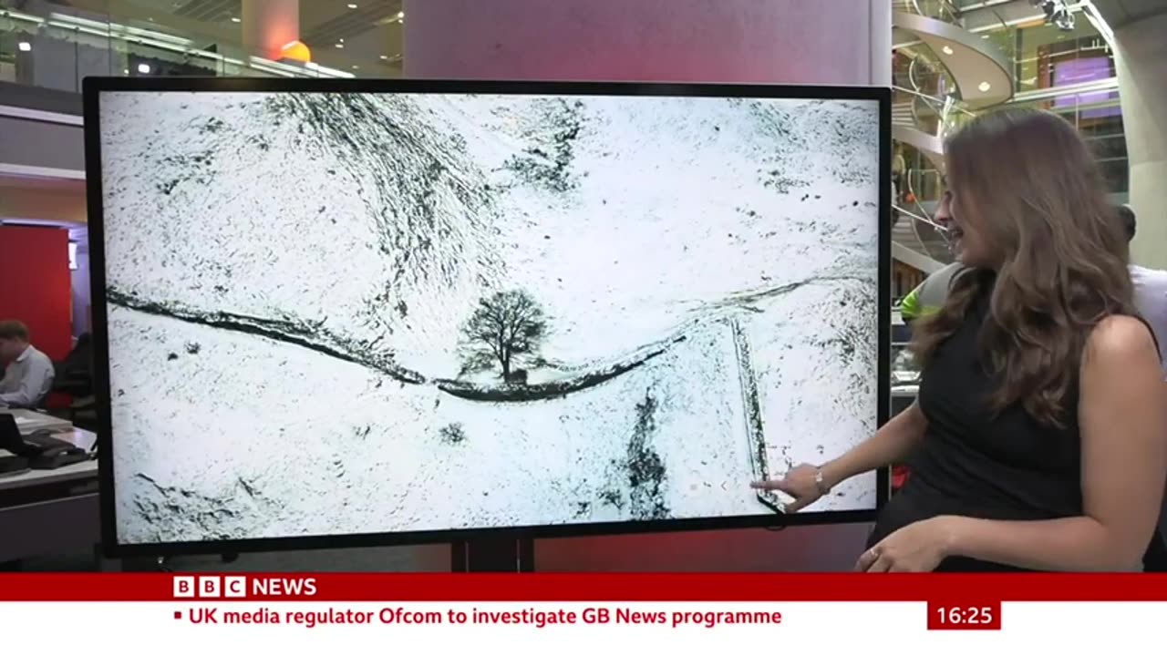 Sycamore Gap_ Boy_ 16_ arrested after Hadrian_s Wall tree felled - BBC News