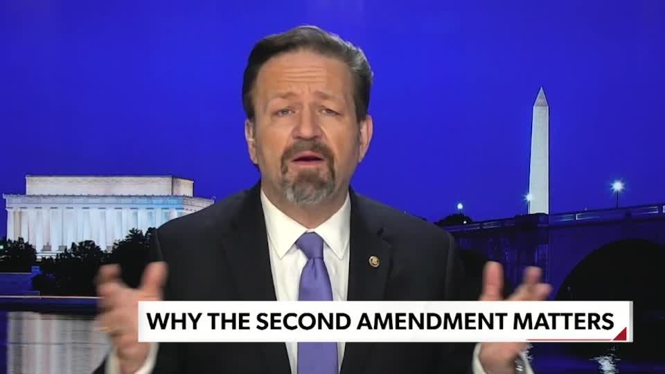 Why the Second Amendment Matters. Sebastian Gorka on NEWSMAX