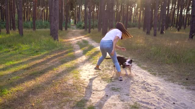 Fun dog with woman