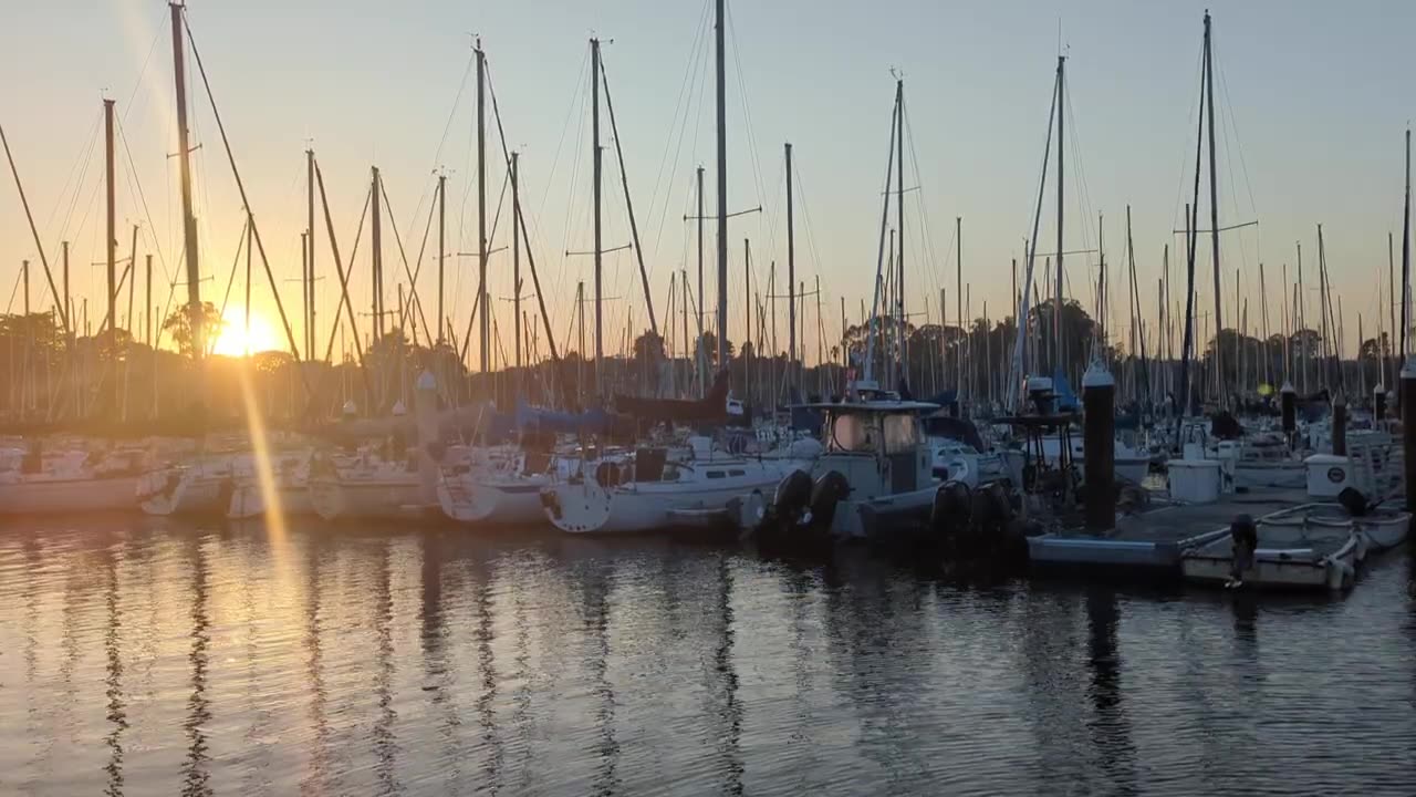 Santa Cruz Harbor Sunset