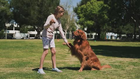 Training session of a dog with a woman and her daughter