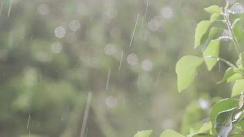 Rain Sound - Satisfying