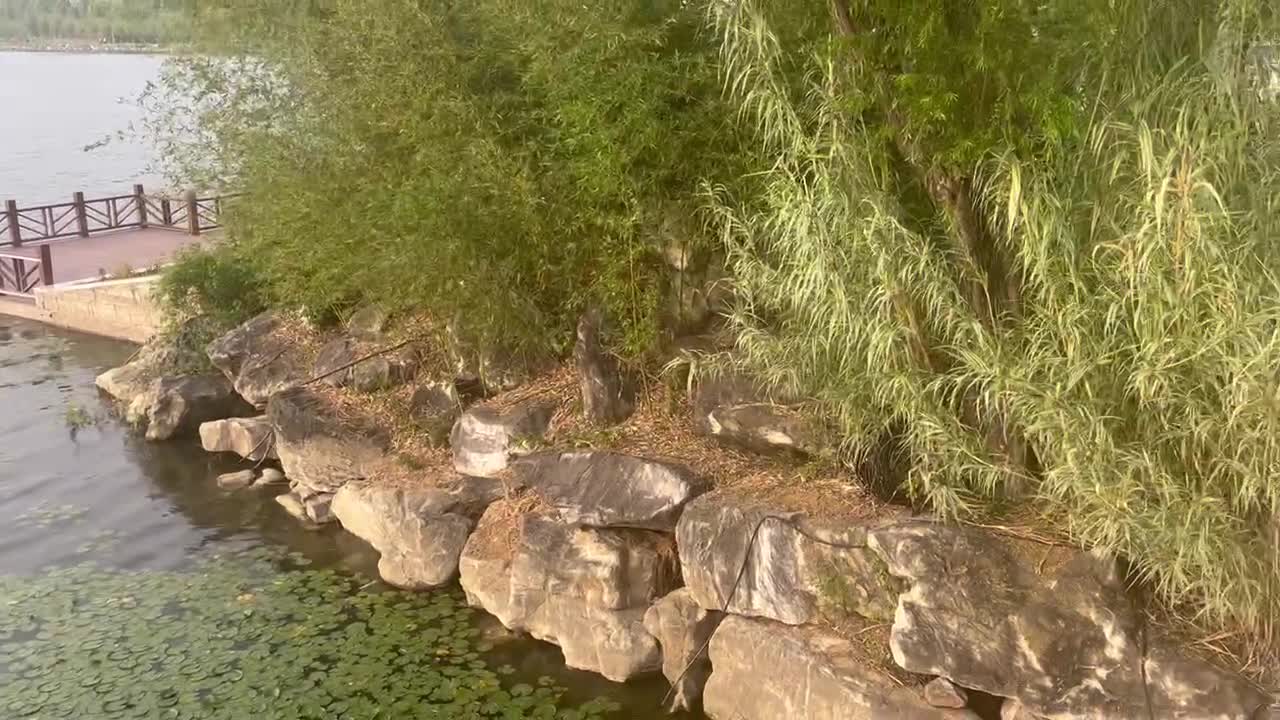 To relax by the lake