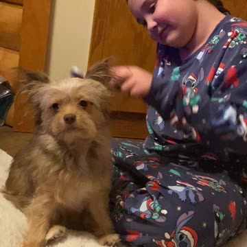 My daughter is the only person Penny let’s brush her